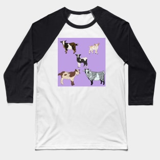 Purple Nigerian Dwarf Goats Pattern Baseball T-Shirt